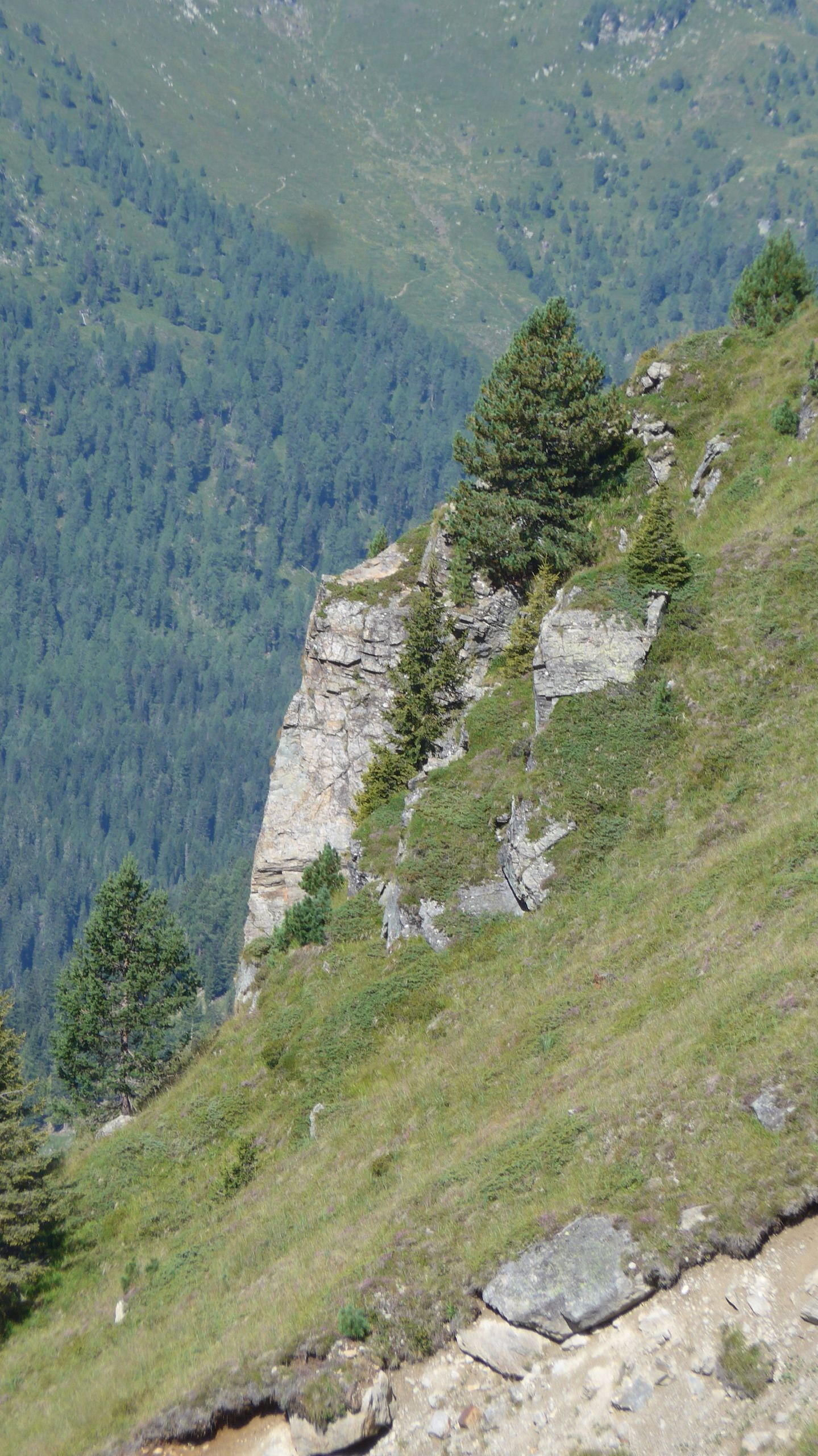 Blick zurück